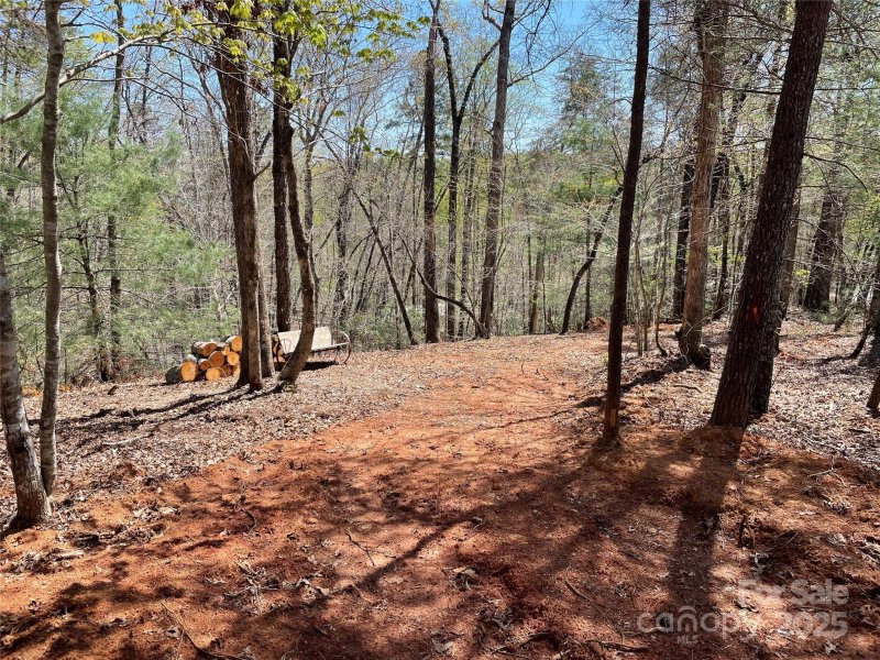 Property image 4 at 0 Sparrows Way, Lake Lure, NC 28746