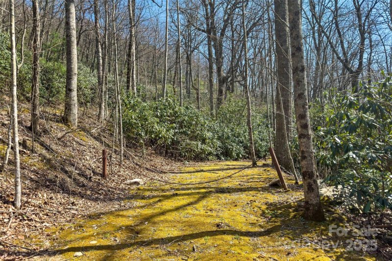 Property image 5 of 30 Red Oak Forest Road in Fairview Forest, Fairview, NC 28730