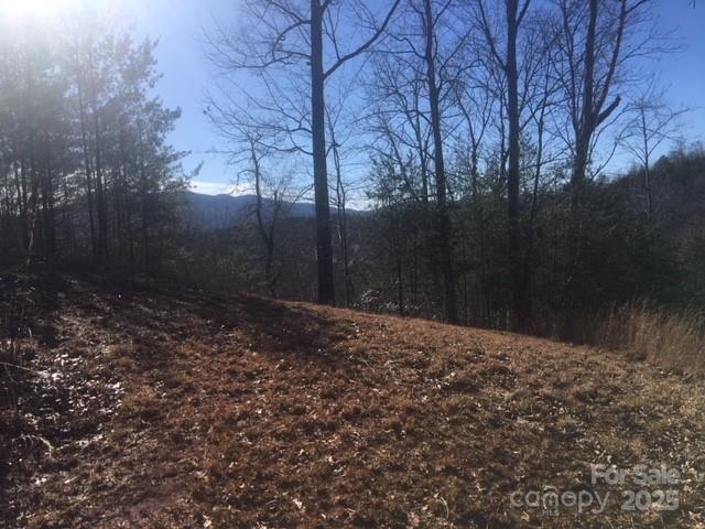 Property image 2 of 30 Mountain Parkway in Lake Adger, Mill Spring, NC 28756