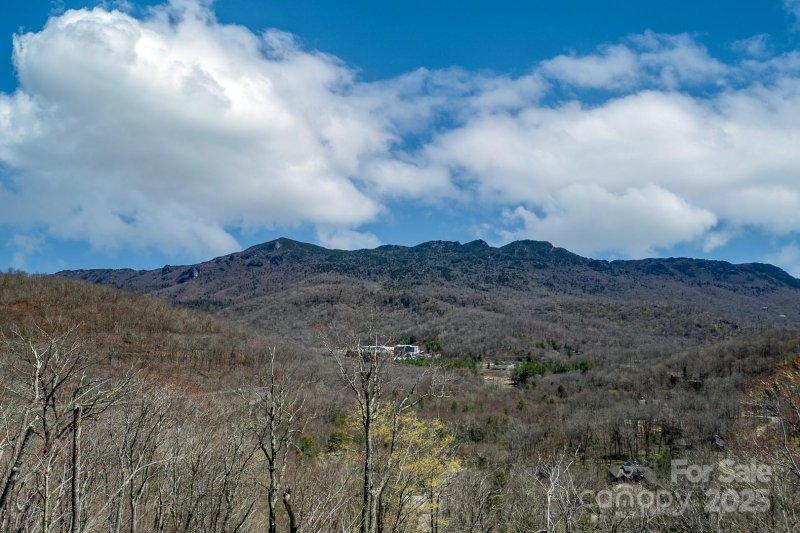 Property image 3 of 150 Squirrel Corn Lane in Grouse Forest, Sugar Mountain, NC 28604