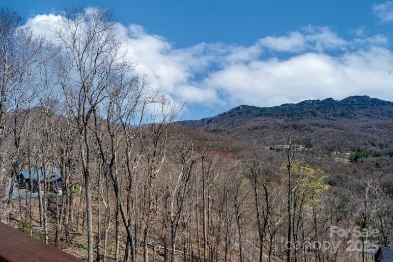 Property image 4 of 150 Squirrel Corn Lane in Grouse Forest, Sugar Mountain, NC 28604