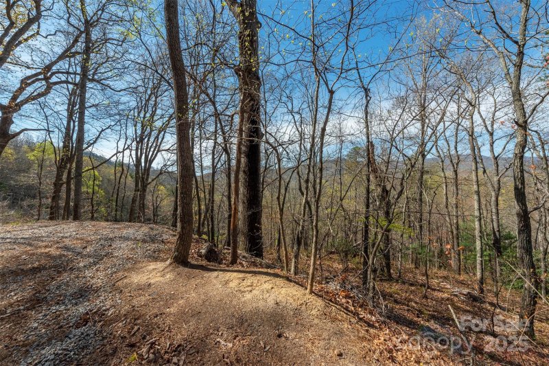 Property image 3 of 99999 Sunset Drive in Sunset Park, Black Mountain, NC 28711
