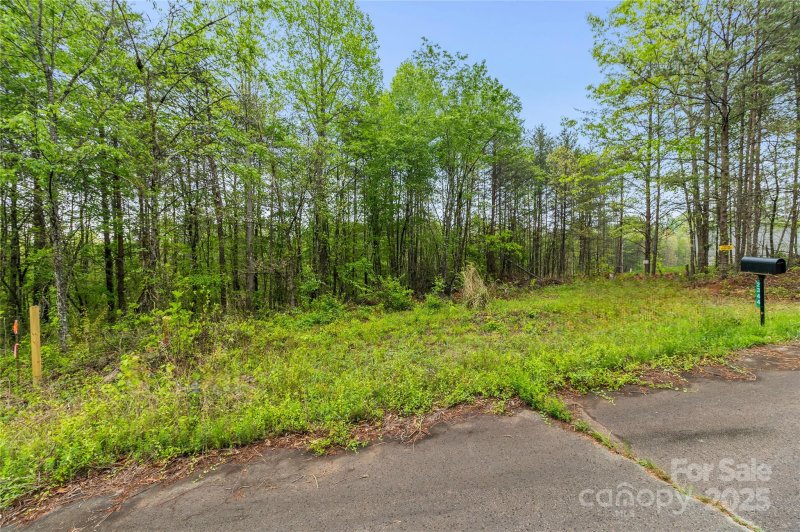 Property image 4 of 2344 Bayleigh Drive in Ellens Way, Vale, NC 28168