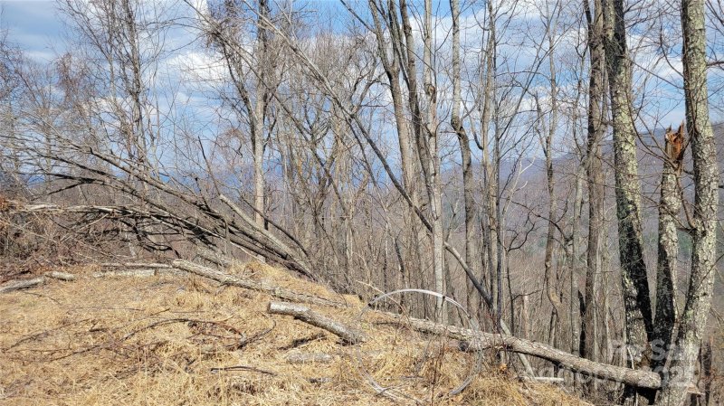 Property image 3 at 000 Joslin Lane, Burnsville, NC 28714