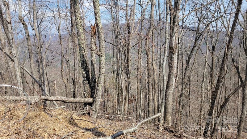 Property image 4 at 000 Joslin Lane, Burnsville, NC 28714