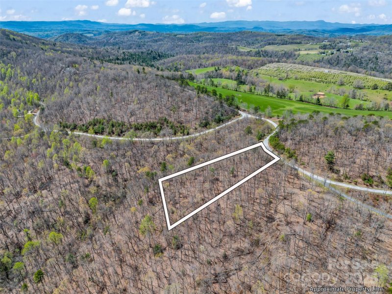 Property image 3 of 280 Eastman Place in Brights Creek, Mill Spring, NC 28756