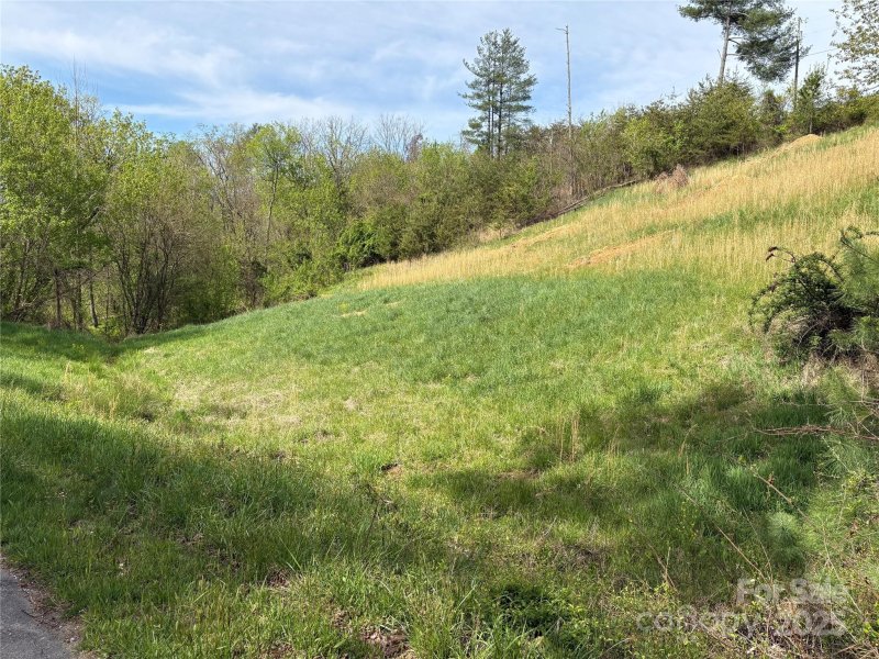 Property image 4 at Tbd Big Rocky Top Drive, Weaverville, NC 28787