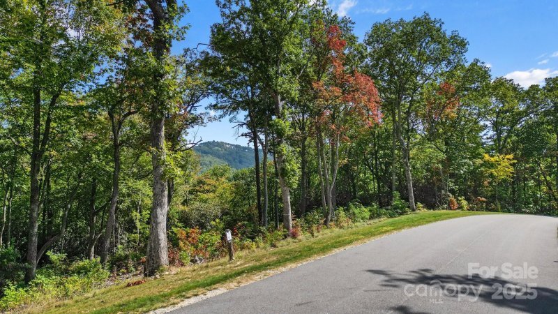 Property image 4 at 0 Mountain Grove Lane, Fletcher, NC 28732