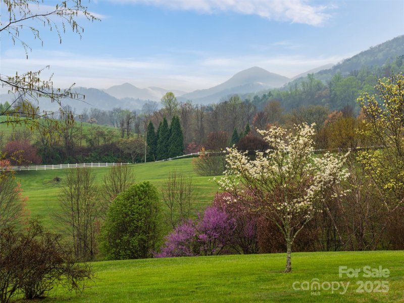 Property image 2 at 31 Dreambird Drive, Leicester, NC 28748