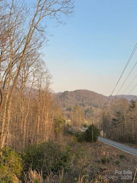 Property image 2 of 910 Morgan Hill Road in Living Waters, Black Mountain, NC 28711