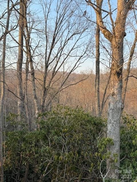 Property image 3 of 910 Morgan Hill Road in Living Waters, Black Mountain, NC 28711