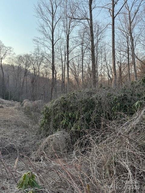 Property image 4 of 910 Morgan Hill Road in Living Waters, Black Mountain, NC 28711