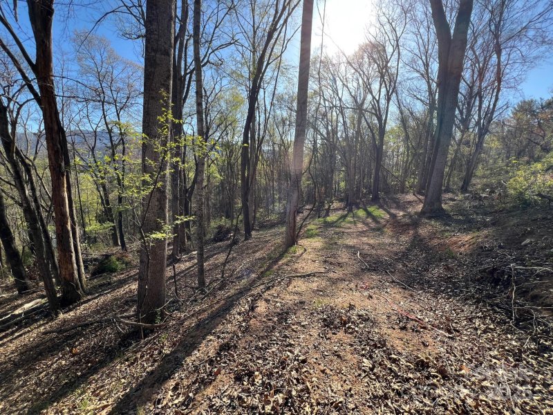 Property image 2 at 0 Little Creek Drive, Canton, NC 28716