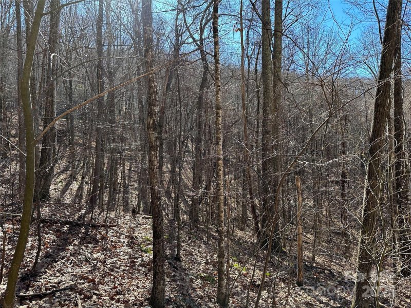 Property image 2 of 000 Finlaystone Trace in Highland Forest, Waynesville, NC 28786