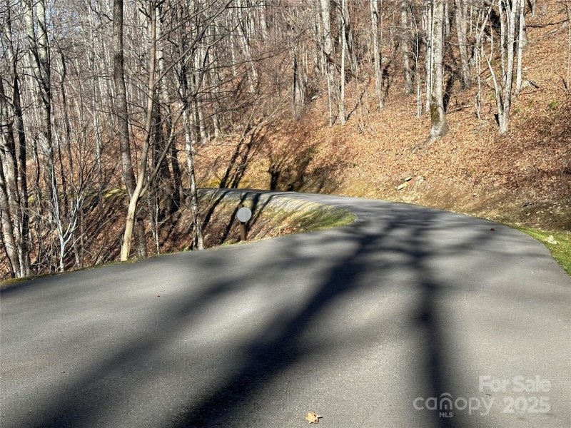 Property image 3 of 000 Finlaystone Trace in Highland Forest, Waynesville, NC 28786