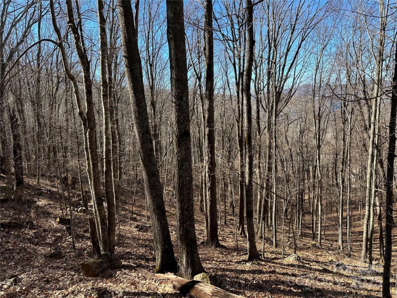 Property image 4 of 000 Finlaystone Trace in Highland Forest, Waynesville, NC 28786