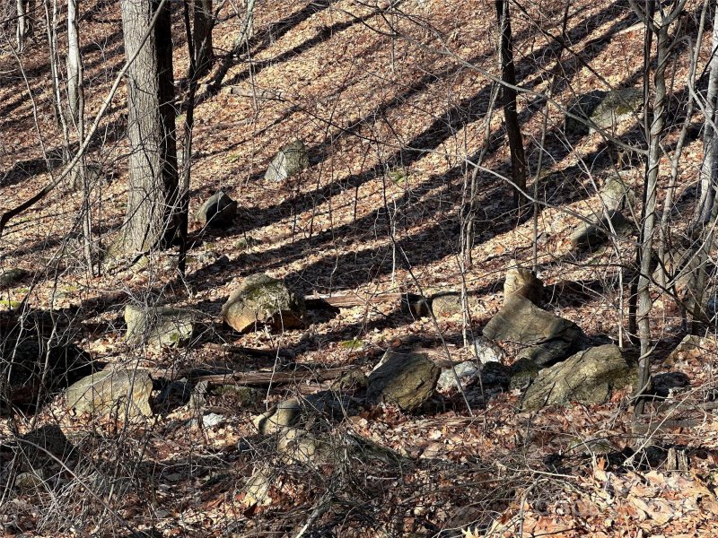 Property image 5 of 000 Finlaystone Trace in Highland Forest, Waynesville, NC 28786