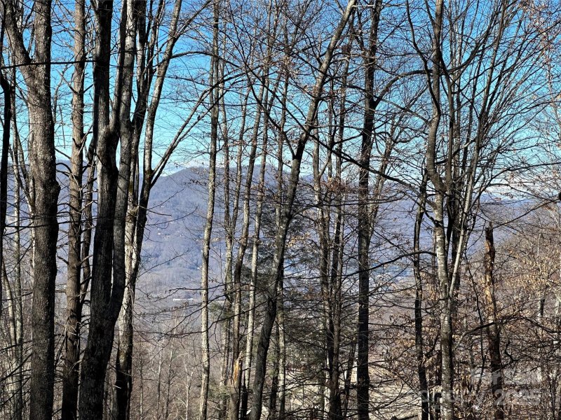 Property image 2 of 0000 St Andrews Road in Highland Forest, Waynesville, NC 28786