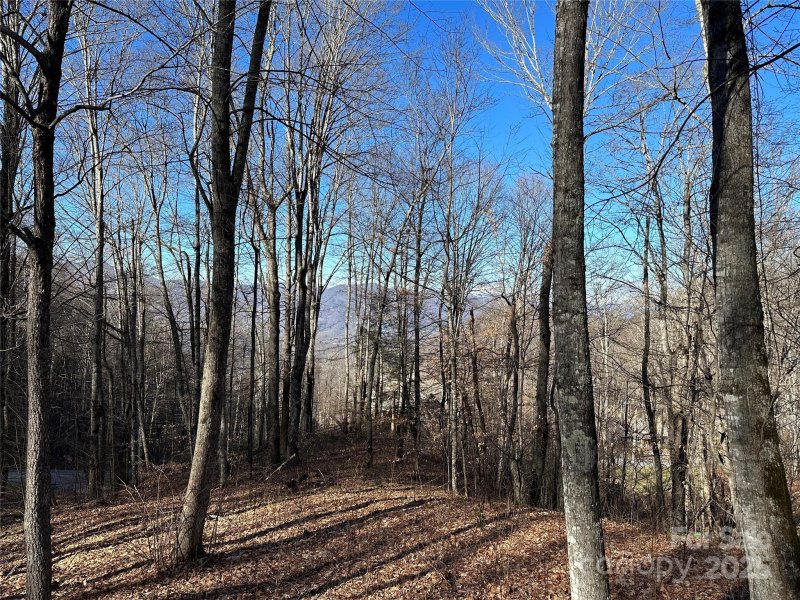 Property image 5 of 0000 St Andrews Road in Highland Forest, Waynesville, NC 28786