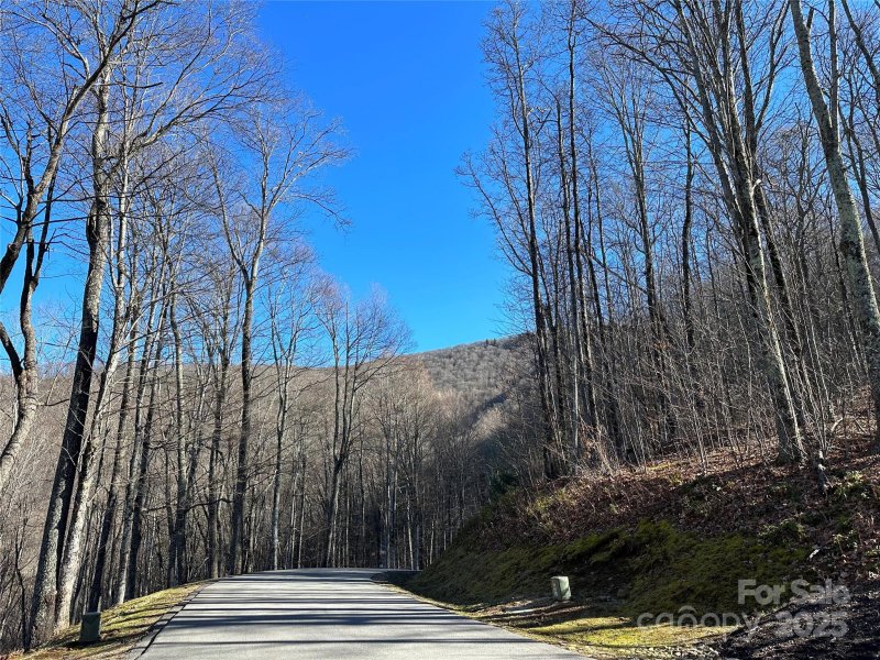 Property image 2 of 000 Macallan Drive in Highland Forest, Waynesville, NC 28786