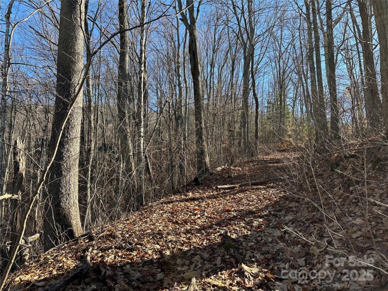Property image 4 of 000 Macallan Drive in Highland Forest, Waynesville, NC 28786