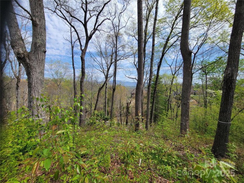 Property image 2 of 65 Bradford Vista in Waterford Lakes, Fletcher, NC 28732