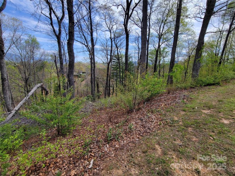 Property image 3 of 65 Bradford Vista in Waterford Lakes, Fletcher, NC 28732