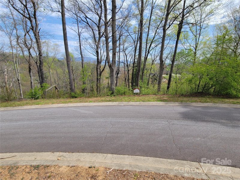 Property image 4 of 65 Bradford Vista in Waterford Lakes, Fletcher, NC 28732