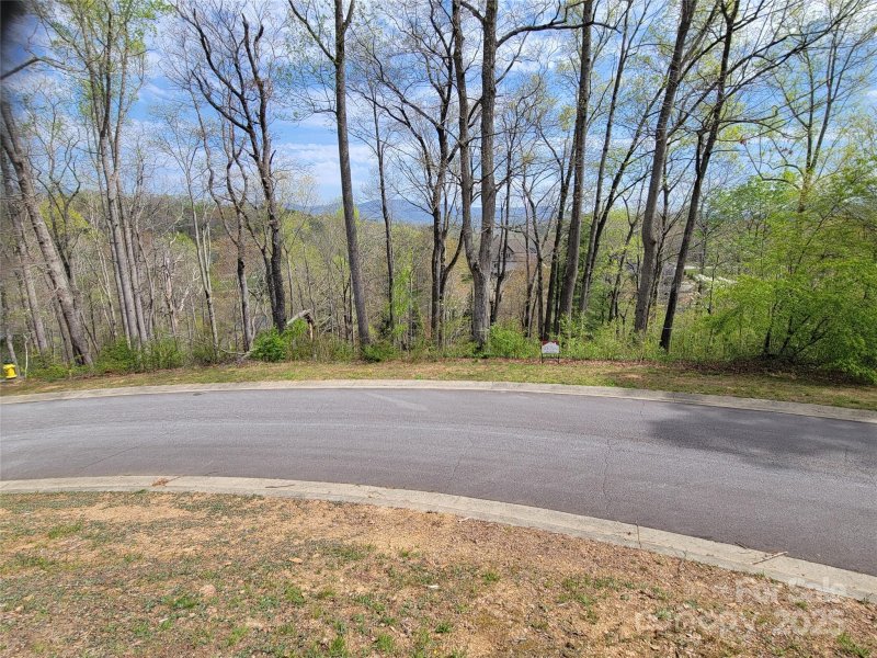 Property image 5 of 65 Bradford Vista in Waterford Lakes, Fletcher, NC 28732