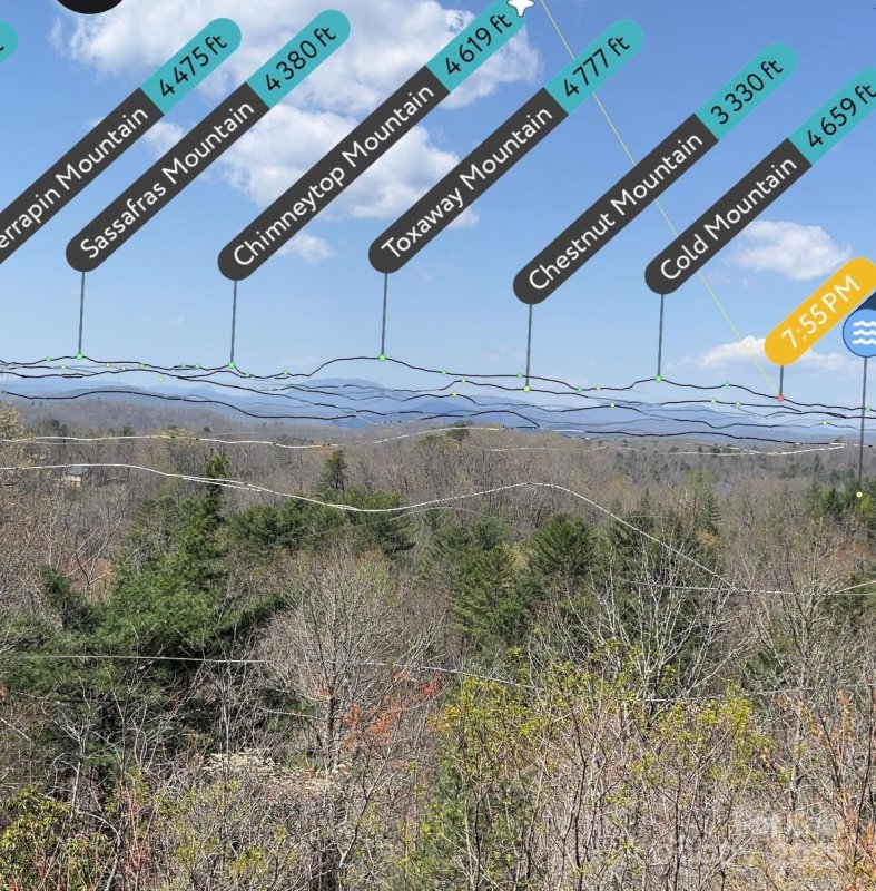 Property image 4 at 259 Dvdegi Court, Brevard, NC 28712