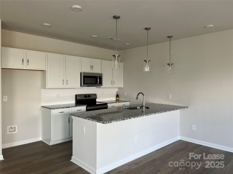 Property image 2 at 3119 Hutton Gardens Lane, Charlotte, NC 28269