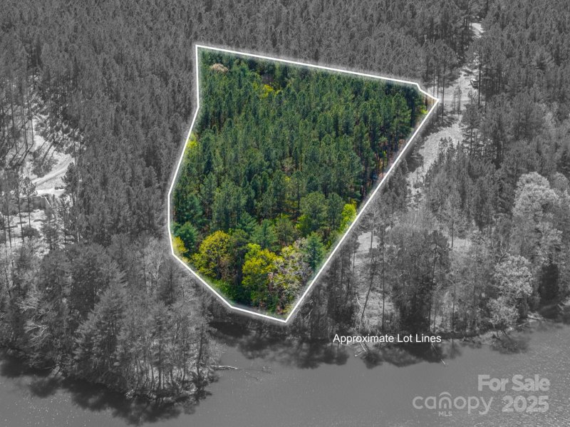 Property image 5 of 1236 Boardwalk Drive in Paradise Harbor, Connelly Springs, NC 28612