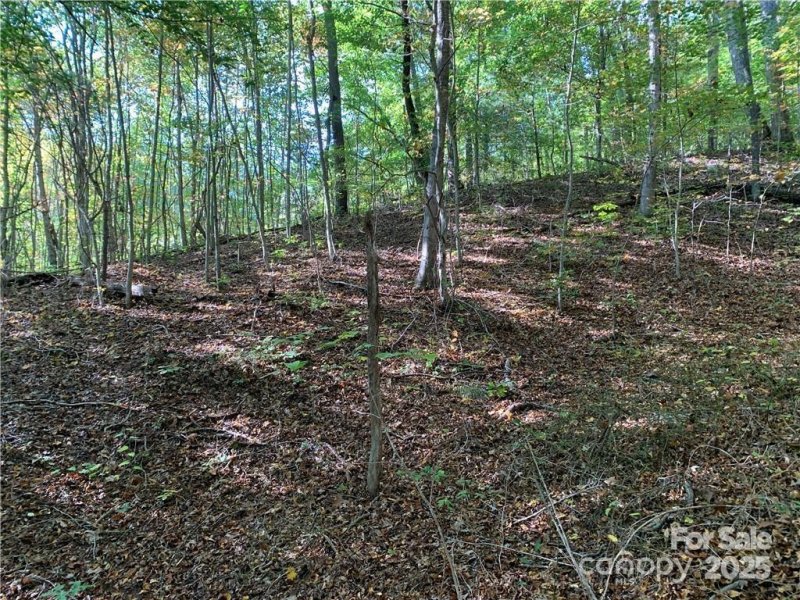 Property image 2 of 107 Rice Road in The Retreat at Spivey Mountain, Asheville, NC 28806