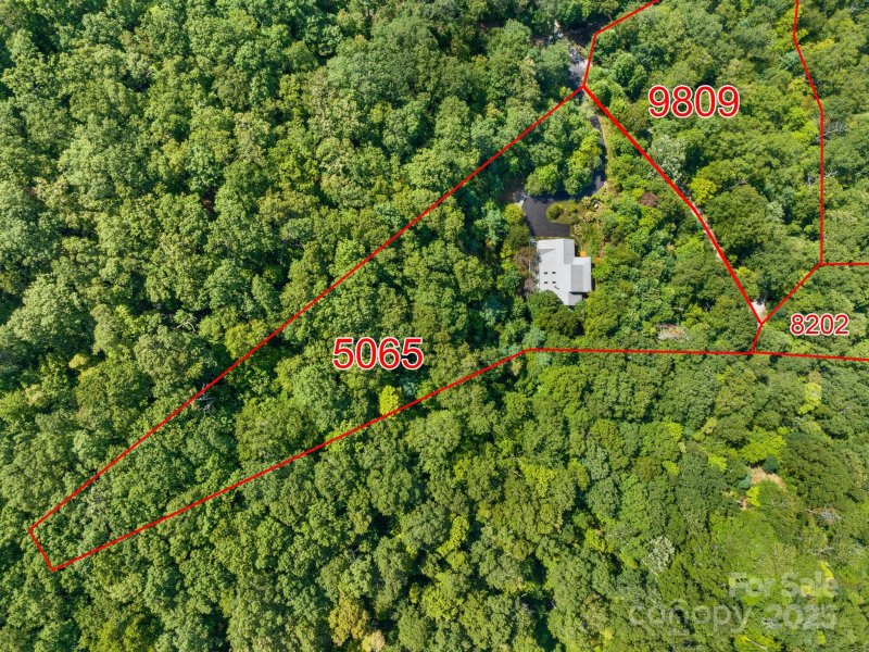 Property image 3 of 80 Ivy Cove Road in Laurel Woods, Fairview, NC 28730