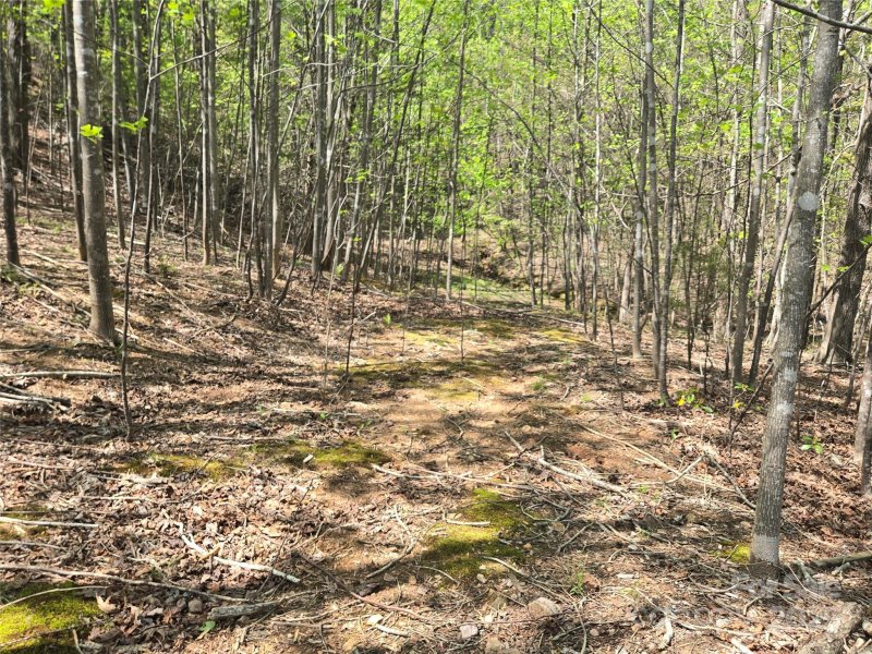 Property image 3 at Lot 11 Back Hollow Drive, Lake Lure, NC 28746