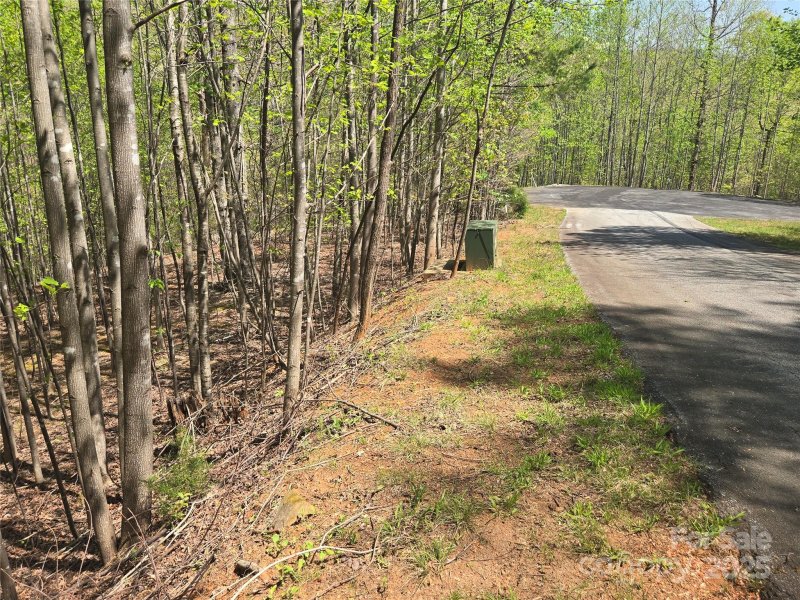 Property image 4 at Lot 11 Back Hollow Drive, Lake Lure, NC 28746