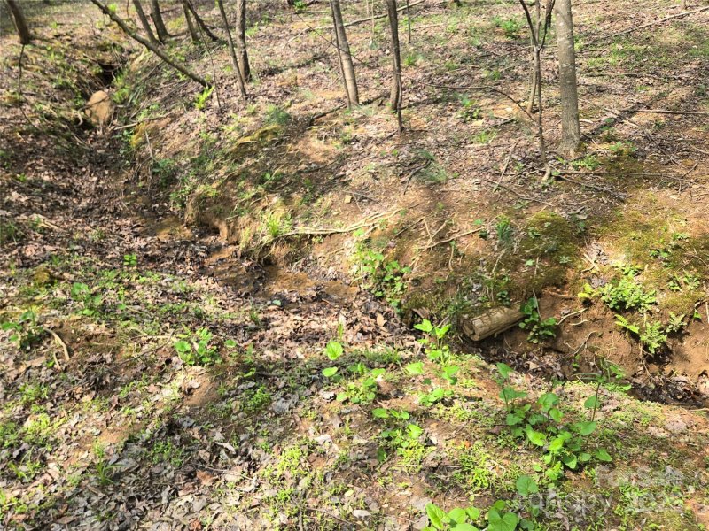 Property image 5 at Lot 11 Back Hollow Drive, Lake Lure, NC 28746