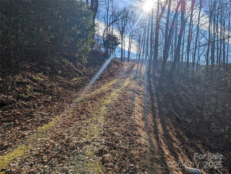 Property image 3 of 367 Kestrel Lane in Creston, Black Mountain, NC 28711