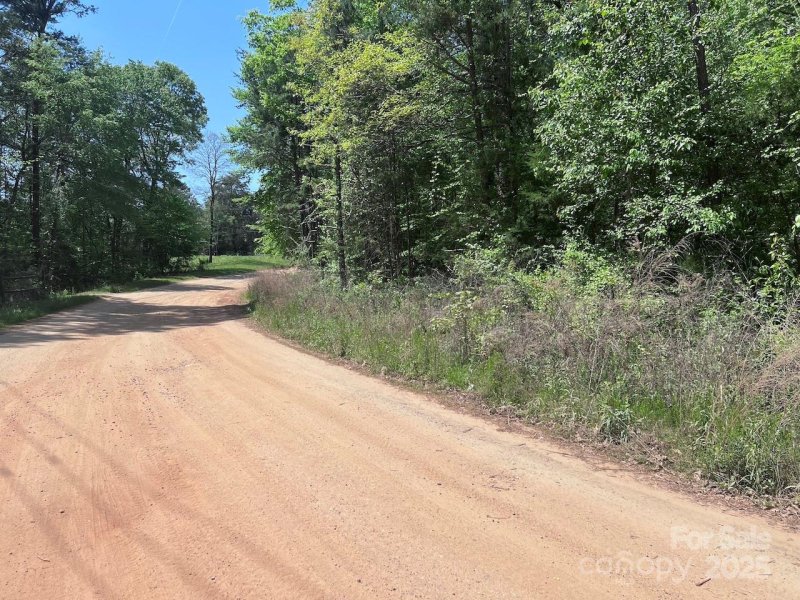 Trinity Farms, Iron Station Community