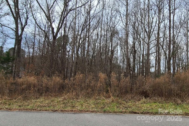 Property image 5 of Tbd Lazy Oak Drive in Shiloh North Estates, Lancaster, SC 29720