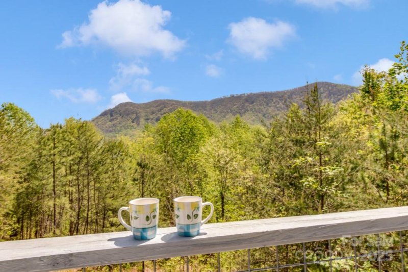 Property image 3 at 16 Oakview Lane, Saluda, NC 28773