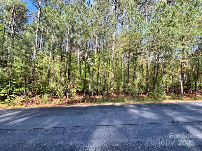 Property image 5 at 5442 Bridgewater Drive, Granite Falls, NC 28630