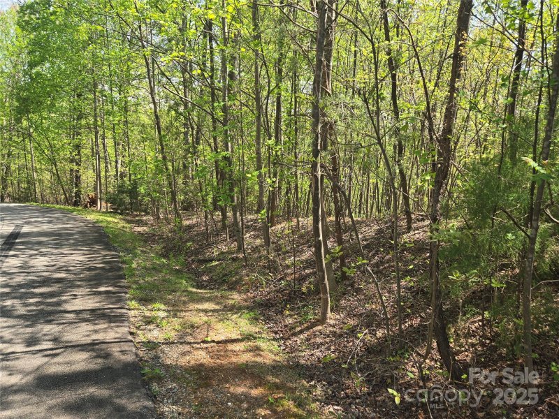 Lot 15 Touch Me Not Trail