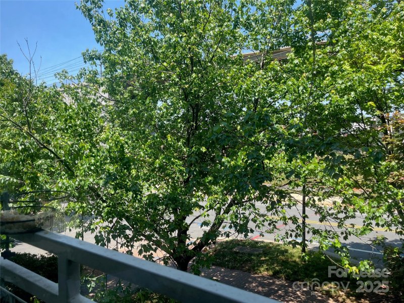 Property image 4 at 507 Donatello Avenue, Charlotte, NC 28205