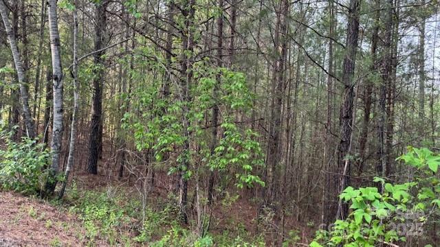 Property image 3 at 0 High Meadows Lane, Rutherfordton, NC 28139