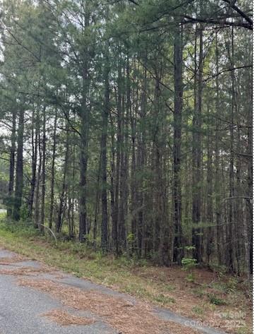 Property image 4 at 0 High Meadows Lane, Rutherfordton, NC 28139