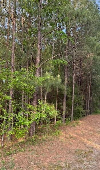 Property image 5 at 0 High Meadows Lane, Rutherfordton, NC 28139