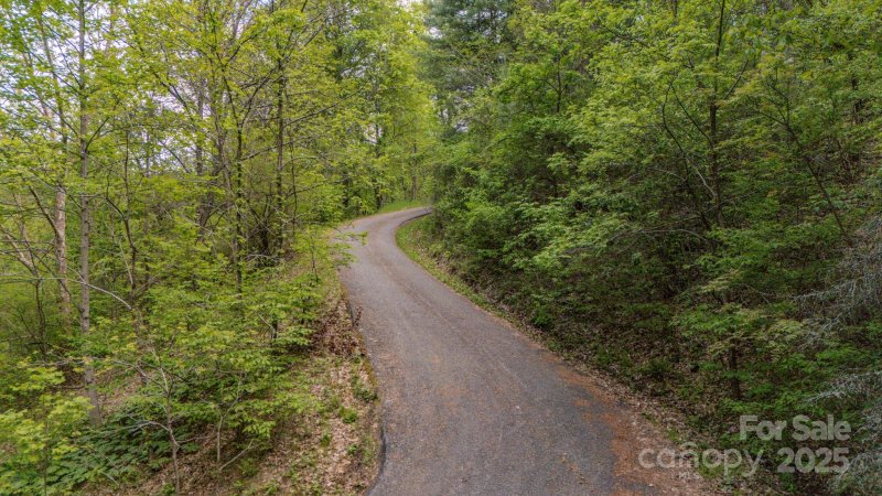 Property image 2 of 000 Buena Vista Drive in Horseshoe Ridge, Barnardsville, NC 28709