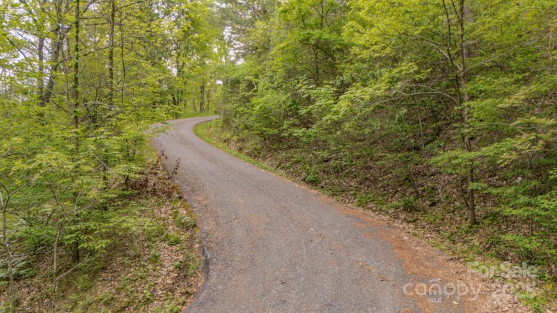 Property image 3 of 000 Buena Vista Drive in Horseshoe Ridge, Barnardsville, NC 28709