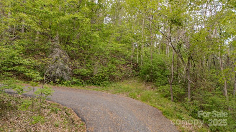 Property image 4 of 000 Buena Vista Drive in Horseshoe Ridge, Barnardsville, NC 28709